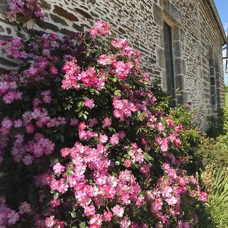 La Corbonniere Bed & Breakfast Geneslay Exterior photo