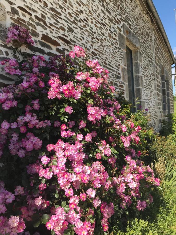 La Corbonniere Bed & Breakfast Geneslay Exterior photo